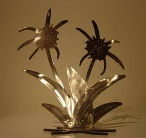 Spider Lily