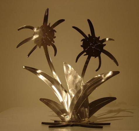 Spider Lily