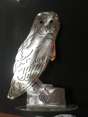 Owl