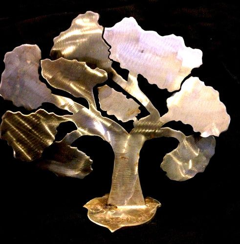 Angel Oak (10 inch)