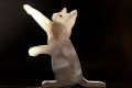 Load image into Gallery viewer, Cat Hero for SPCA